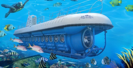 Ohana Hawaii Tour/å¤å¨å¤·èªç±è¡ç§äººå°é - Atlantis Submarines å¤å¨å¤·æ½æ°´è